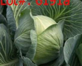 6191a result