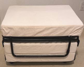Sleeper Ottoman Bed