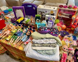 Lots of current Barbie’s, Rainbow High Dolls, Na Na Na Surprise Dolls, Anna and Elsa,