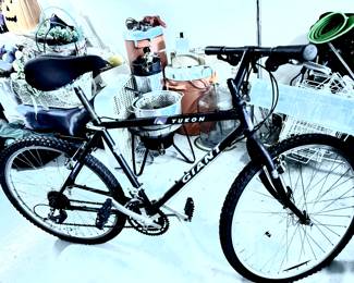 Giant bike