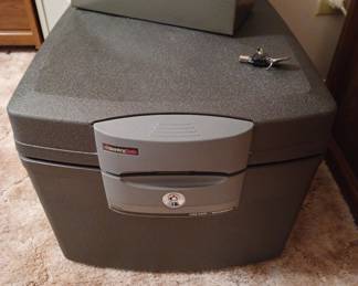 Sentry safe