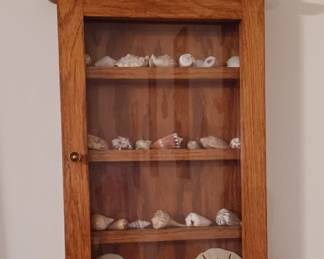 Oak wall cabinet with shell collection