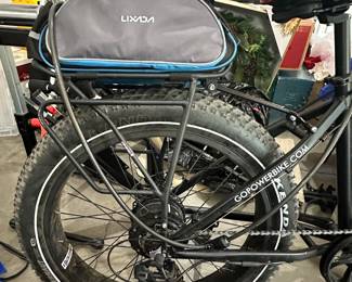 Go power bike-electric bike