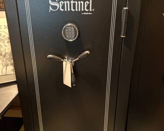 Another Stack-on premium gun safe