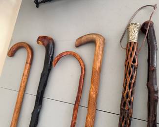 Walking sticks