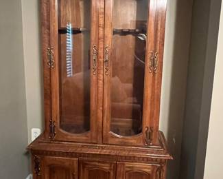 glass fronted gun cabinet