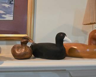Collection of Ducks