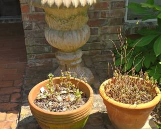 More Flower Pots- More To Come