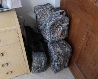 luggage