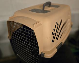 Medium size Pet Taxi