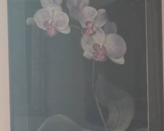 Floral by M Callam