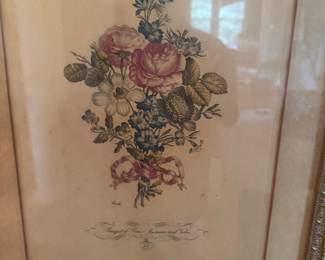One of a pair of botanicals.