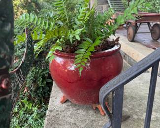 planter and fern