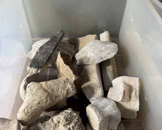 Fossils