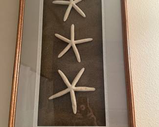 Unique framed starfish on sand background