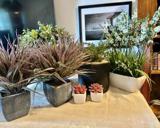 Over a dozen beautiful artificial plants