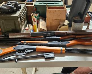 Collection of guns