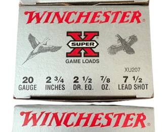 Winchester 20 GA Ammunition