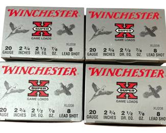 20 Gauge Winchester Ammo