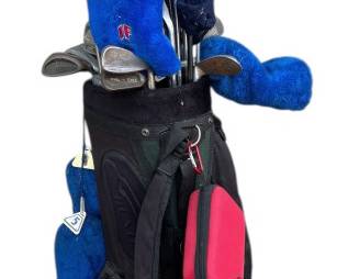 Golf Clubs Hunter Golf Bag