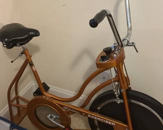 Schwinn Excercise Bike
