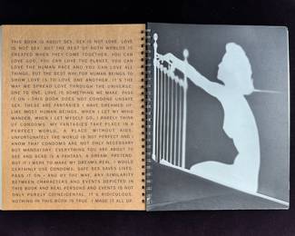 Madonna “Sex” stainless steel First Edition book