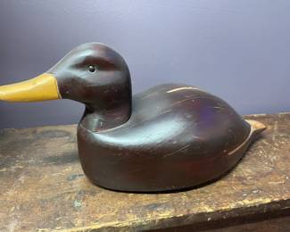 Duck