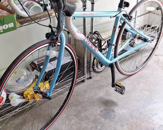 Dawes Bike (like new)