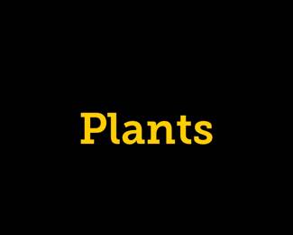 Unique opportunity! If you see an outside flowering plant you want, let us know! They’re available, but you’ll have to dig them up!