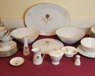 Rosenthal Shadow Rose 64pc