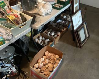 Shells! Shells! Shells!