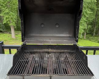 Weber Genesis Gas Grill