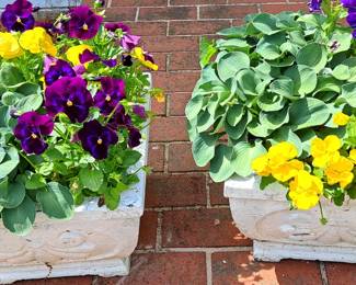 PLANTER & FLOWERS
