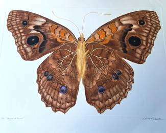 REIMER CARDILLO ENGRAVING BUTTERFLY SIGNED & NUMBERED