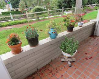 Wonderful plants.