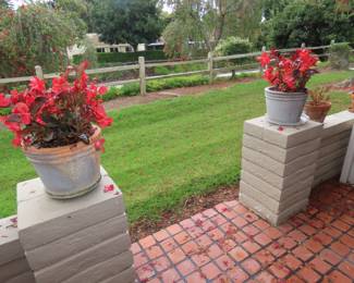 Wonderful plants.