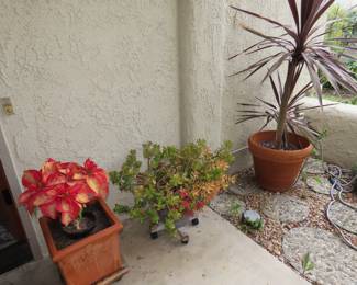 Wonderful plants.