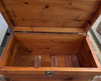 Interior of PINE Trunk.
