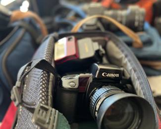 Canon cameras