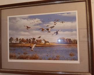 Ducks Unlimited Print