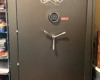 Colony gun safe