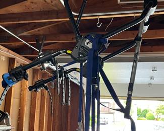 Thule 2 bike trunk mount carrier.....