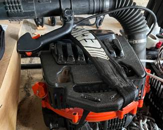 Backpack leaf blower.....