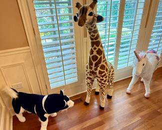 Petting Zoo