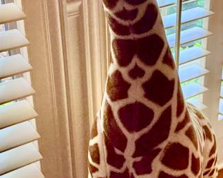 Cool Giraffe