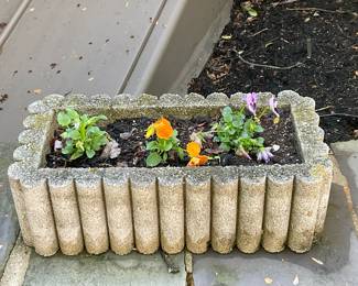 Concrete Planter #2 | Large concrete rectangular-shaped outdoor planter with scalloped edges. Plants included. - h. 7.5 x w. 12 x l. 24 in