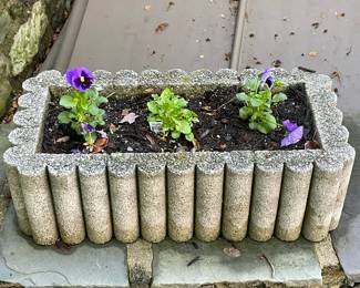 Concrete Planter #1 | Large concrete rectangular-shaped outdoor planter with scalloped edges. Plants included. - h. 7.5 x w. 12 x l. 24 in