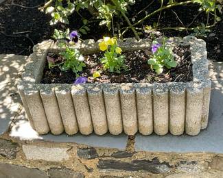Concrete Planter #3 | Large concrete rectangular-shaped outdoor planter with scalloped edges. Plants included. - h. 7.5 x w. 12 x l. 24 in