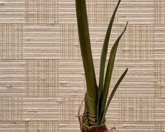 Faux Amaryllis Plant