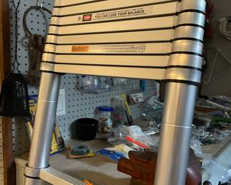 adjustable ladder